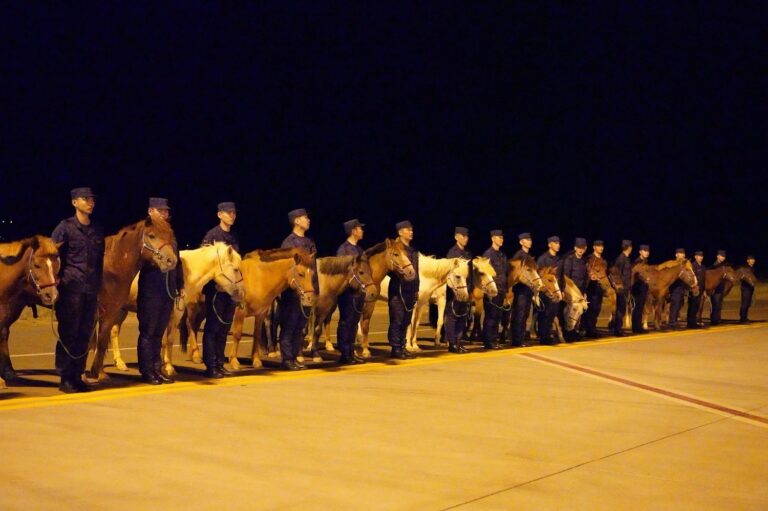 Chapman Freeborn Group has completed a specialist charter operation moving 121 Mongolian horses between Ulaanbaatar and Hanoi